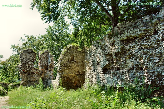 Smoleń zamek 008.JPG