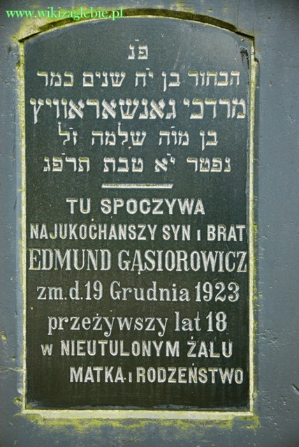 Sosnowiec Cmentarz żydowski 029.JPG