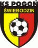 Pogoń Świebodzin.jpg