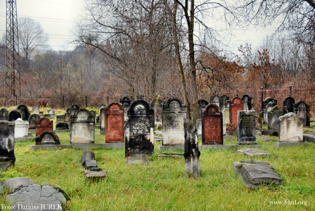 Sosnowiec-Modrzejów Cmentarz żydowski 007.JPG