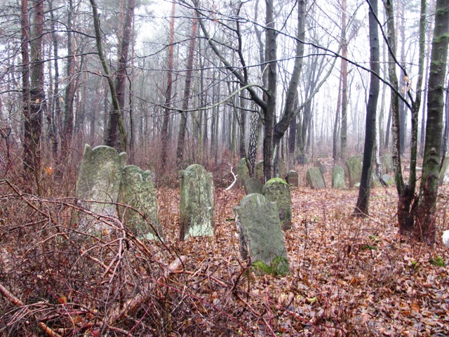 Pilica. Nowy Kirkut (cmentarz żydowski).JPG
