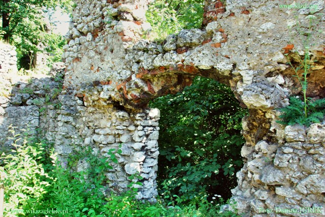 Smoleń zamek 013.JPG