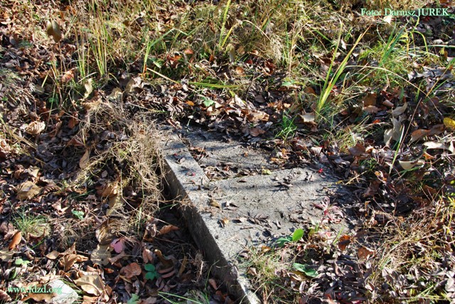 Sosnowiec-Milowice Cmentarz żydowski 011.JPG