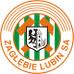 Zagłębie Lubin.jpg