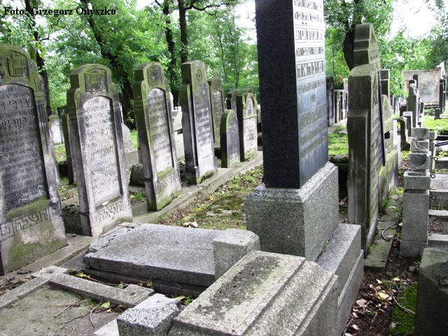 Czeladzkie judaika. Kirkut. 008.jpg