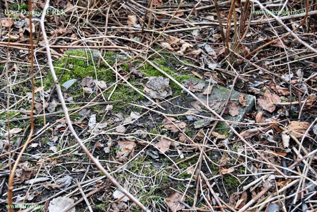 Sosnowiec-Milowice Cmentarz żydowski 035.JPG