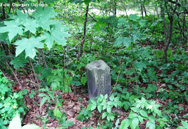 Pilica. Pozostalosci po cmentarzu ewangelickim. Resztki grobu. 02.jpg