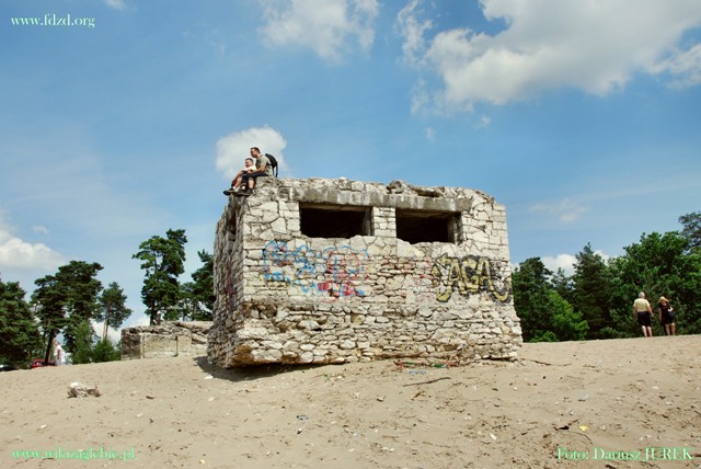 Pustynia Błędowska 003 Chechło.JPG