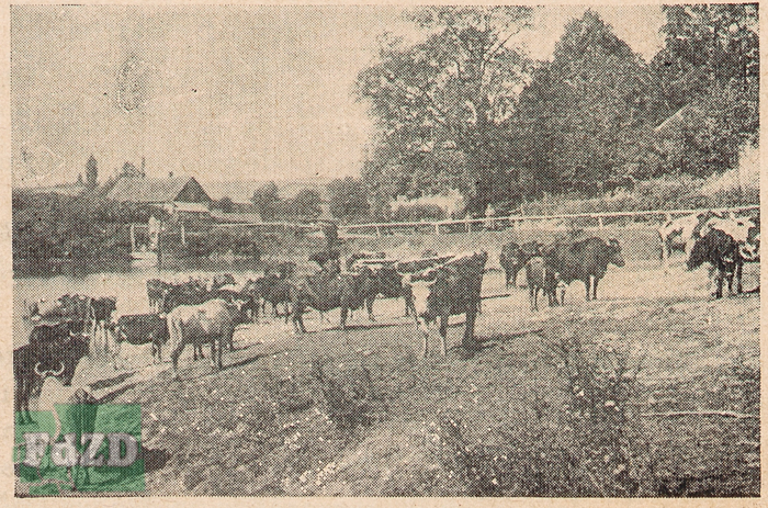 Okradzionów - Kantor - 0006.jpg