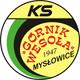 Górnik Wesoła.jpg