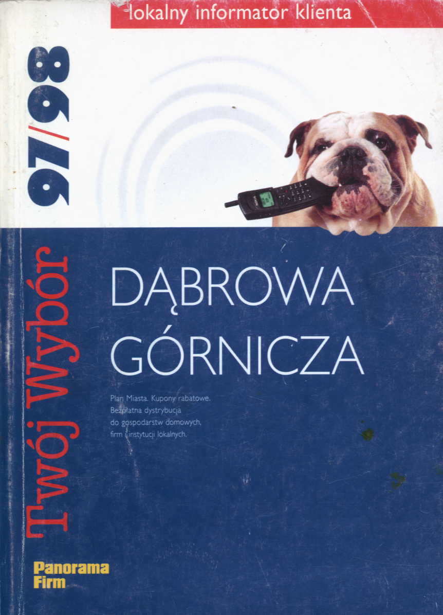 Panorama Firm - Dąbrowa Górnicza.jpg