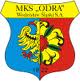 Odra Wodzisław Śląski.jpg
