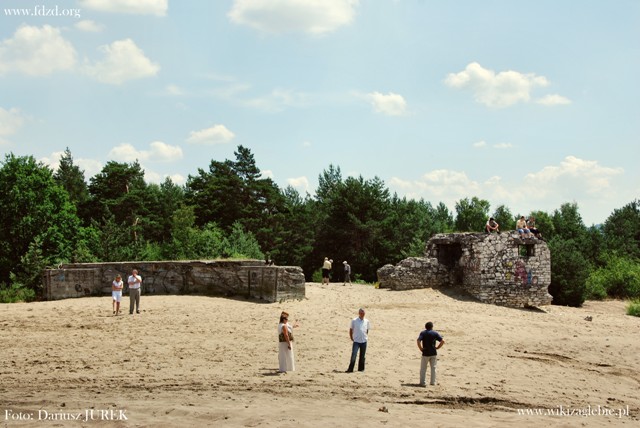 Pustynia Błędowska 002 Chechło.JPG