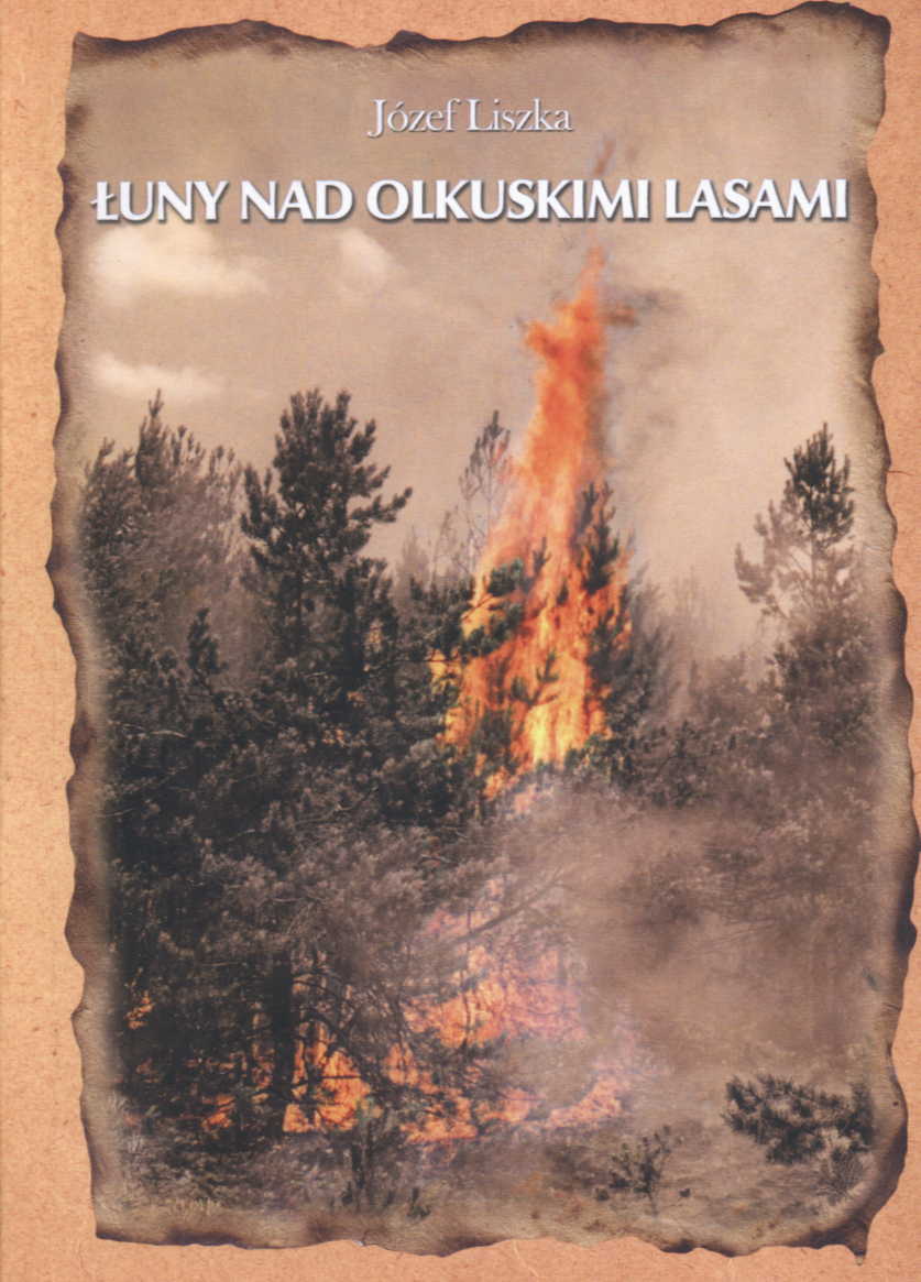 Łuny nad olkuskimi lasami.jpg