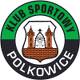 KS Polkowice.jpg