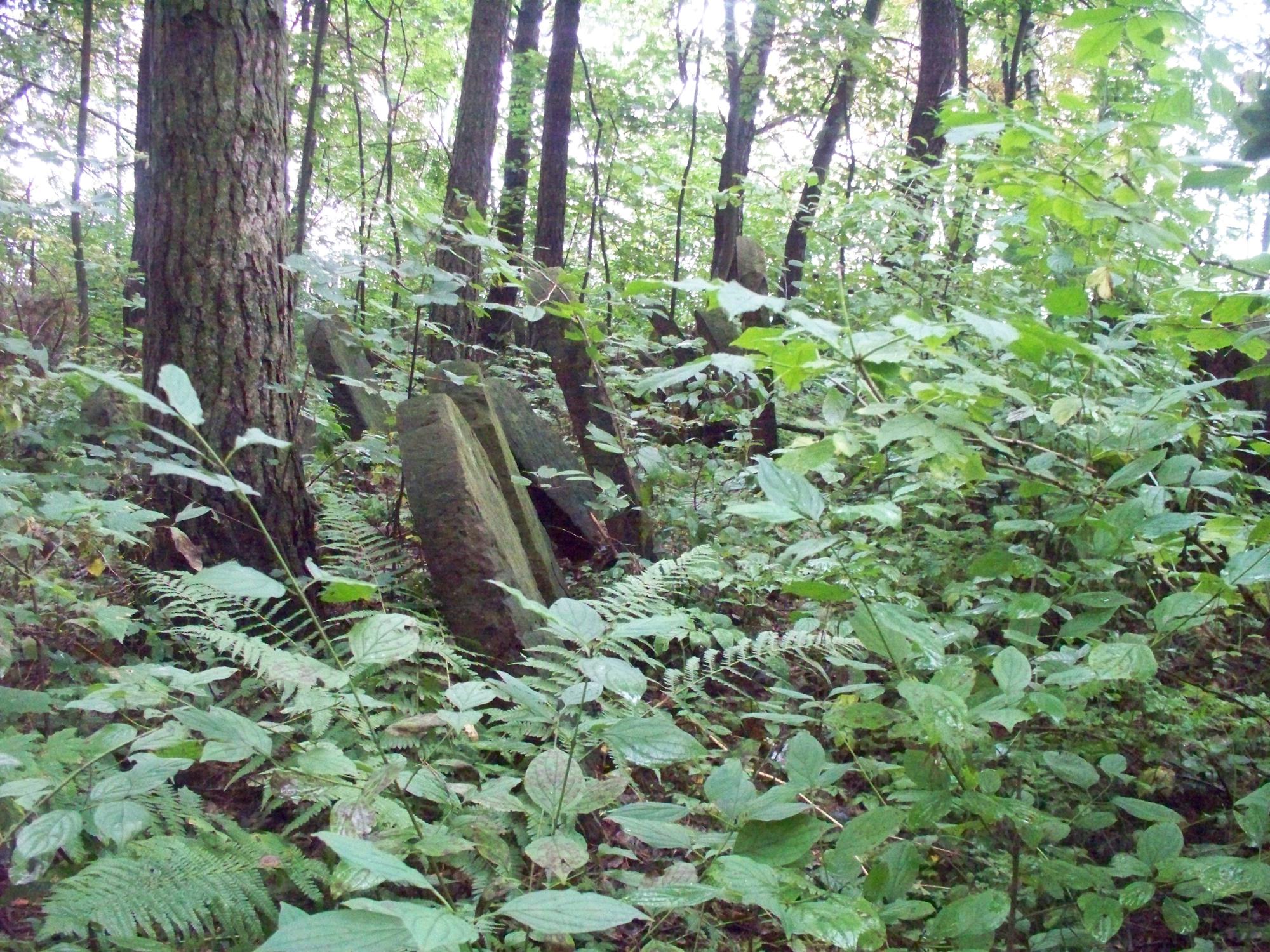 Pilica - cmentarz żydowski (3).jpg
