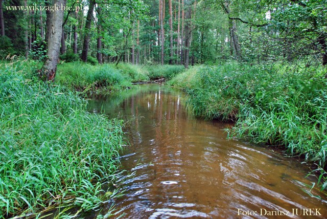 Lubsza-Ożarowice 107 Mała Panew.JPG