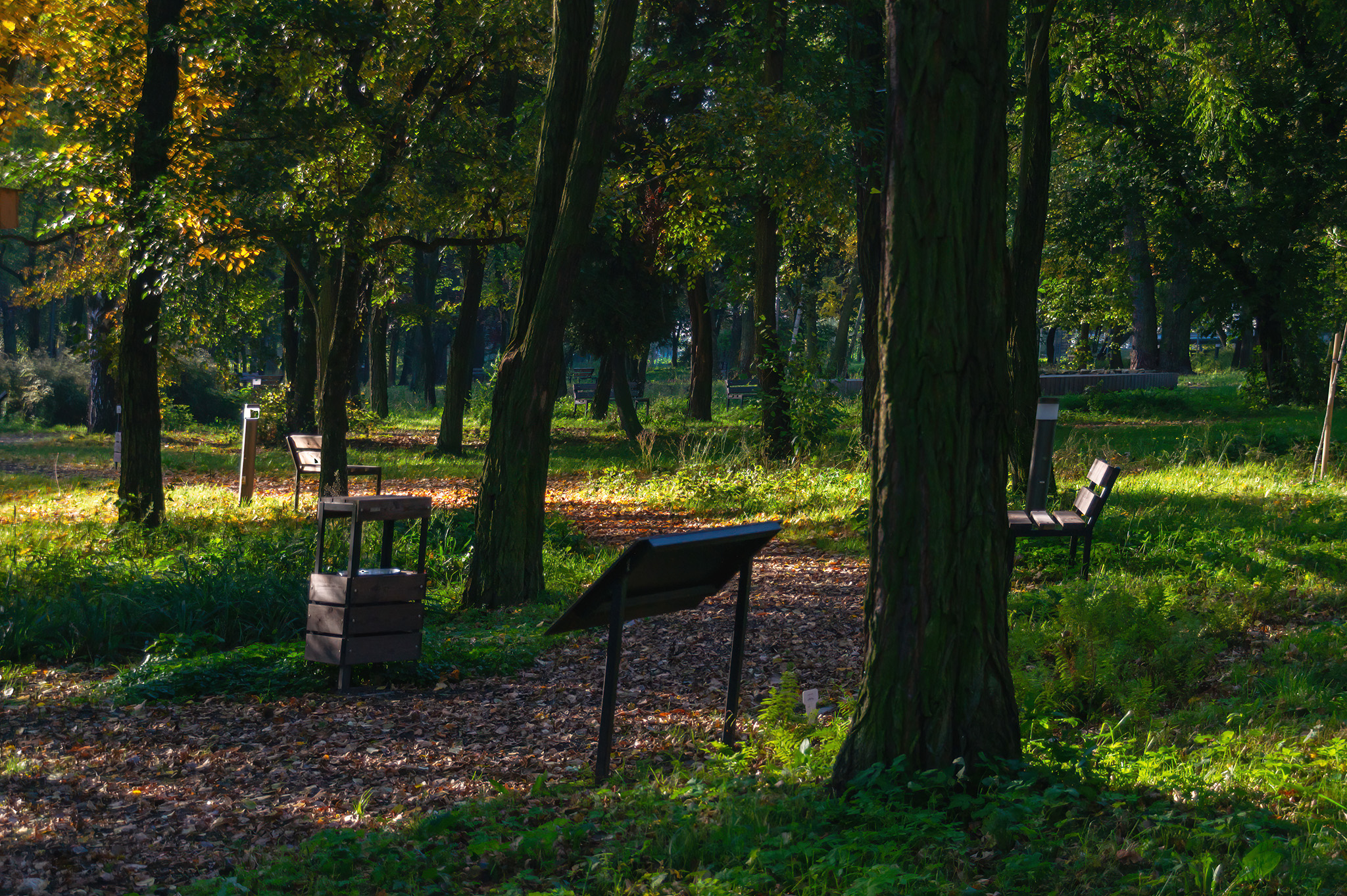 Park Fusińskiego, infrastruktura, Sosnowiec.jpg