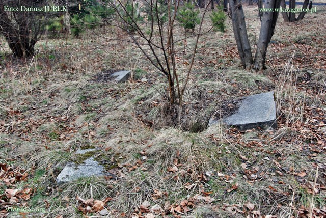 Sosnowiec-Milowice Cmentarz żydowski 032.JPG