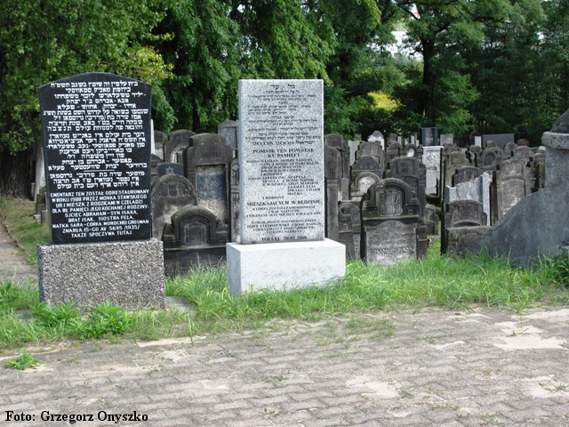 Czeladzkie judaika. Kirkut. 004.jpg