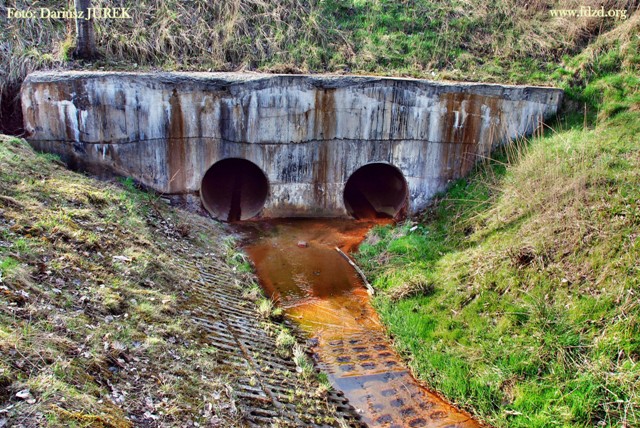 Sosnowiec Potok Zagórski 12.JPG