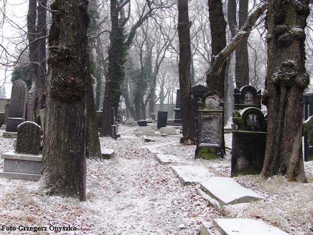 Sosnowiec-Pogon. Kirkut. Widok. 004.JPG