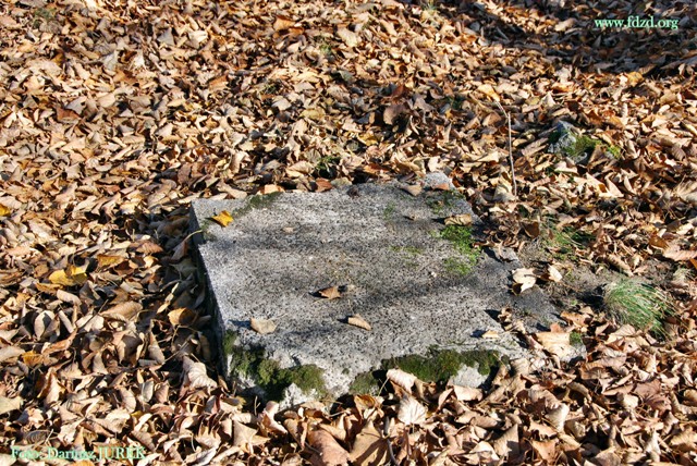 Sosnowiec-Milowice Cmentarz żydowski 016.JPG