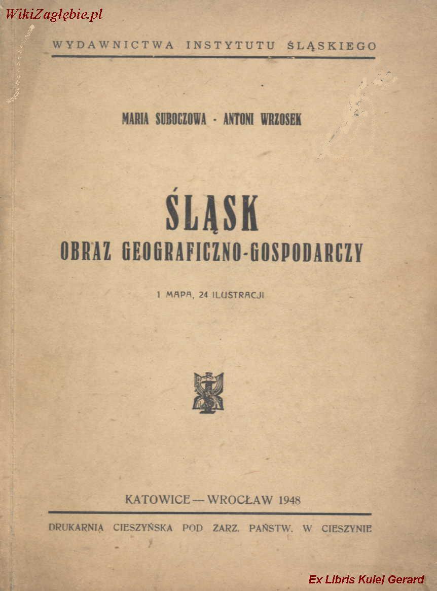 Plik:Śląsk obraz geo-gosp.jpg