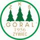Góral Żywiec.jpg