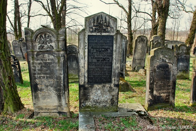 Cmentarz żydowski Sławków 03.JPG