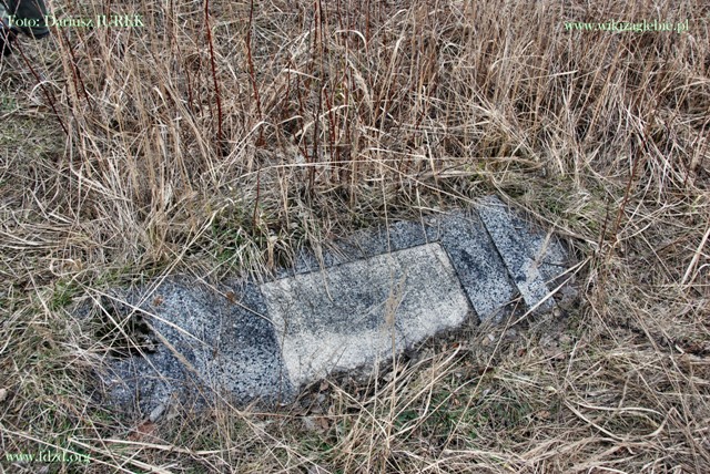 Sosnowiec-Milowice Cmentarz żydowski 029.JPG