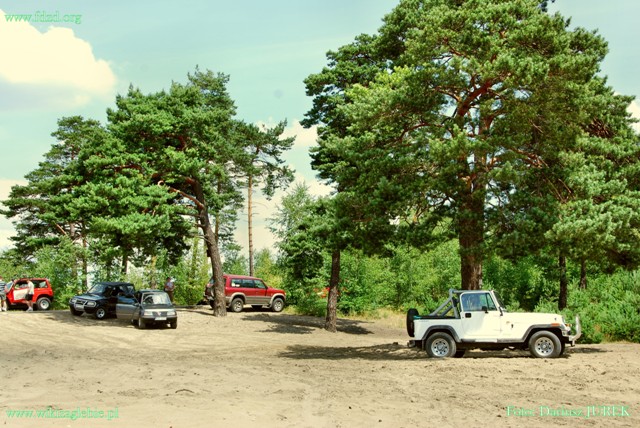 Pustynia Błędowska 032 Chechło.JPG