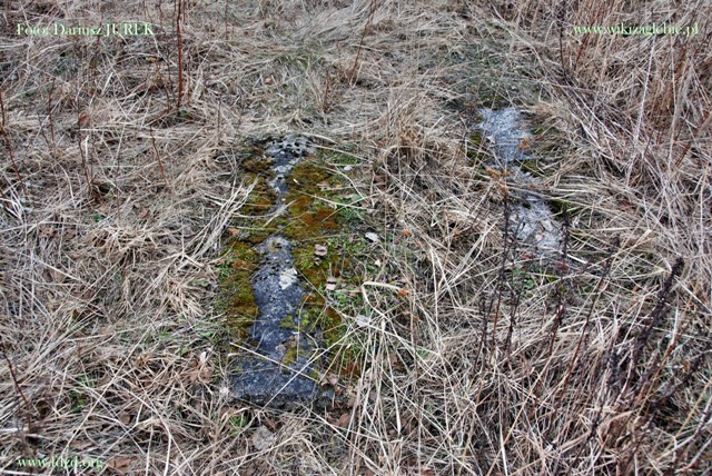 Sosnowiec-Milowice Cmentarz żydowski 024.JPG