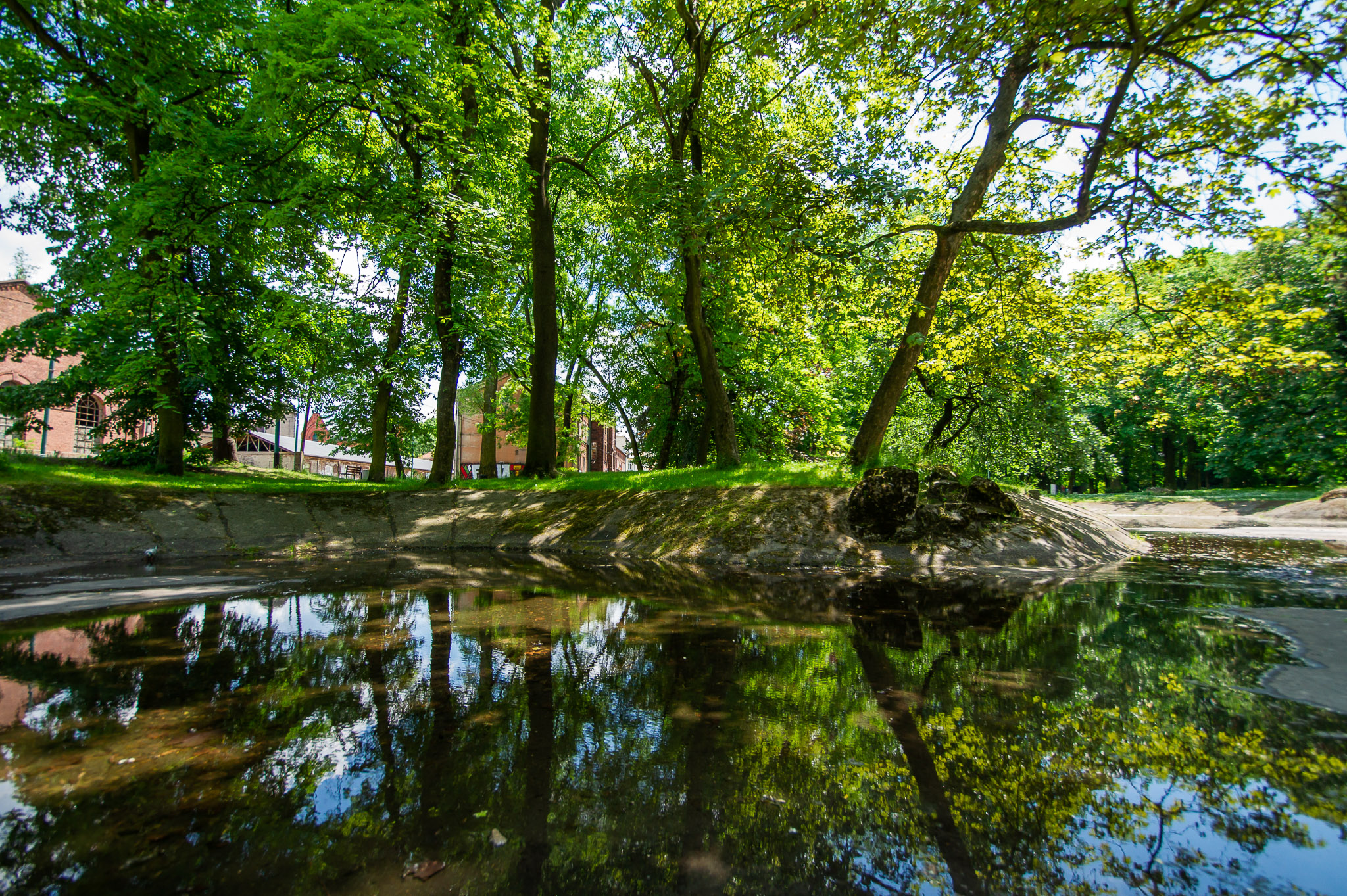 Park Dietla - oczko wodne.jpg