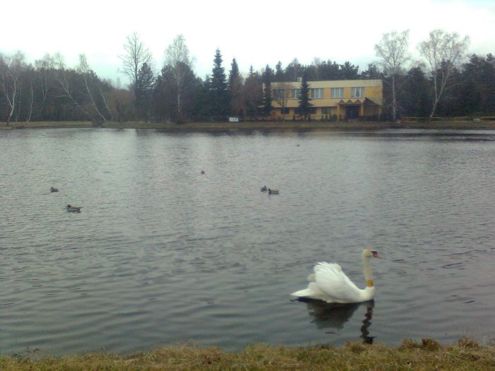 Park lesna.jpg