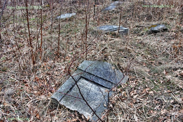 Sosnowiec-Milowice Cmentarz żydowski 022.JPG