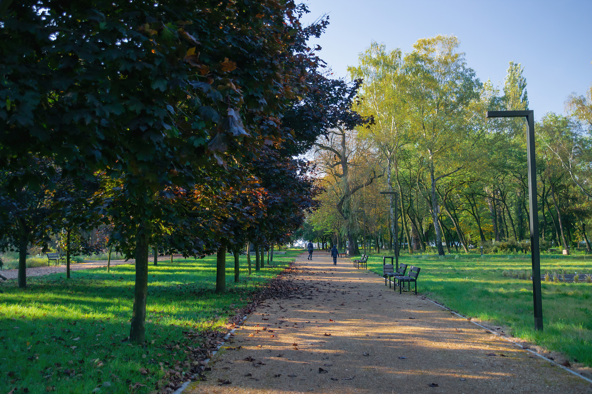 Park bioróżnorodności Fusińskiego, Sosnowiec, jesień.jpg