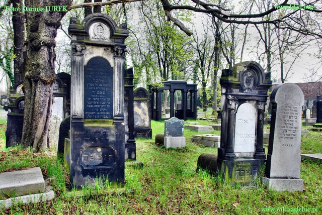 Sosnowiec Cmentarz żydowski 044.JPG