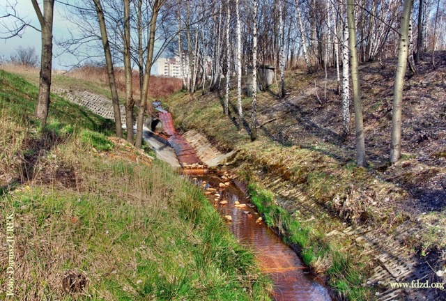 Sosnowiec Potok Zagórski 09.JPG