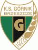 Górnik Brzeszcze.jpg