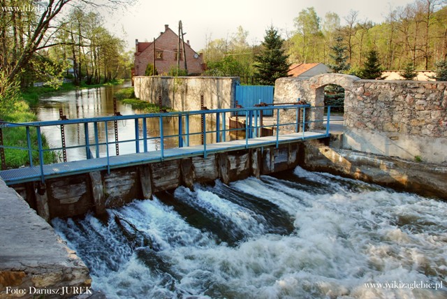 Dąbrowa Górniczna Okradzionów Biała Przemsza 013.JPG