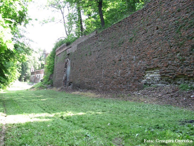 Pilica. Bastionowe umocnienia pałacu.JPG