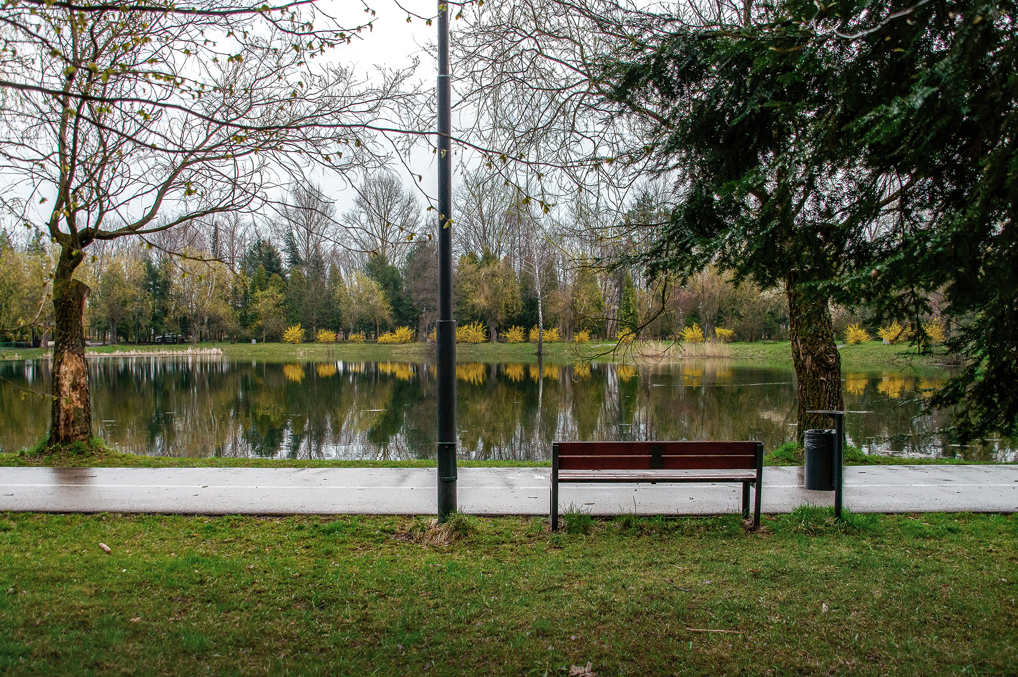 Staw Leśna, Park im Jacka Kuronia, Kazimierz, Sosnowiec.JPG