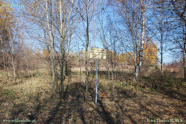 Sosnowiec-Milowice Cmentarz żydowski 043.JPG