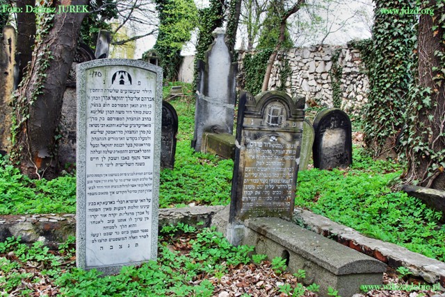 Sosnowiec Cmentarz żydowski 041.JPG