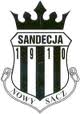 Sandecja Nowy Sącz.jpg