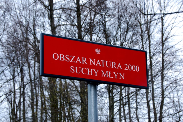 Przyłęk 201.JPG
