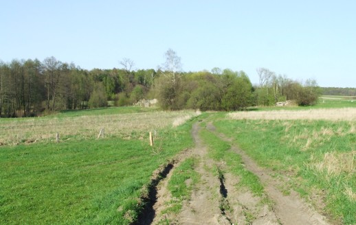 Kowalczyki4.JPG