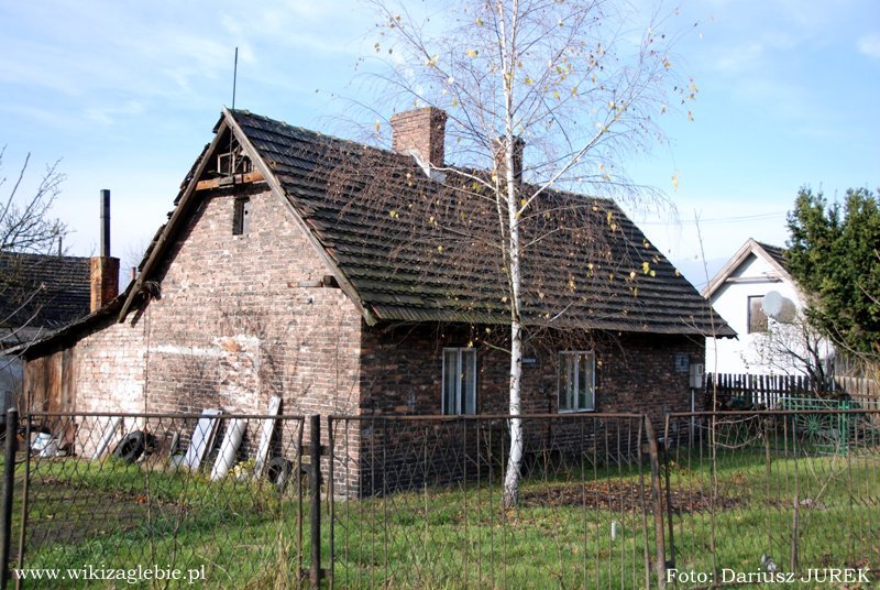 Sosnowiec Julisz Kolonia przy ul. Grenadierów 05.JPG