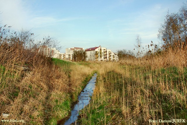 Sosnowiec Potok Zagórski 05.JPG